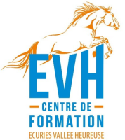 EVH Formation